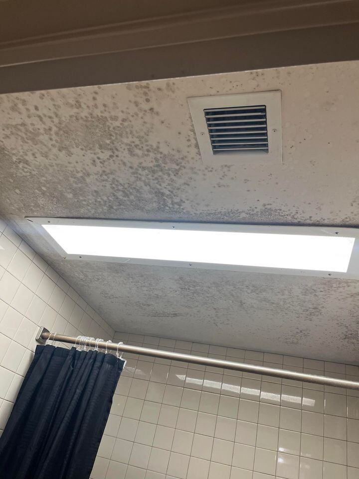 TCS SUBMITTED: Mold at Schofield Barracks